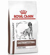 Royal Canin Gastrointestinal 2 kg